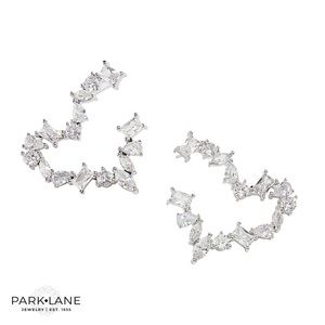 NEW Park Lane Lust Earrings